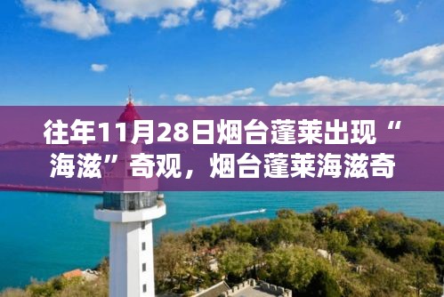关于我们 第247页