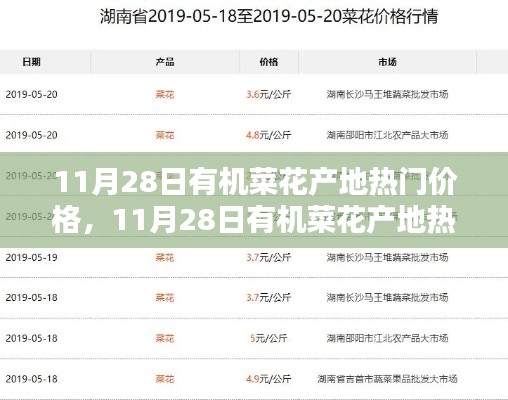 第2031页