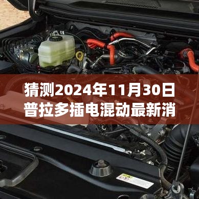 关于我们 第240页