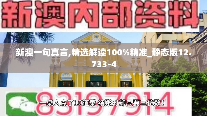 新澳一句真言,精选解读100%精准_静态版12.733-4