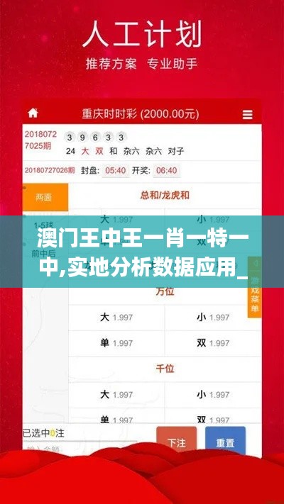 澳门王中王一肖一特一中,实地分析数据应用_经典款77.648-9