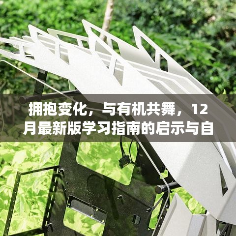 九死一生 第3页