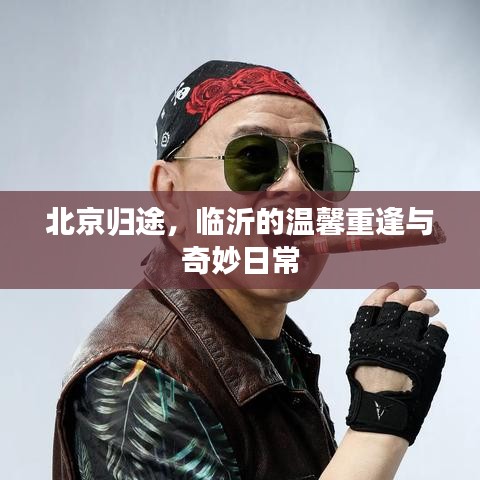 北京归途，临沂的温馨重逢与日常奇妙之旅
