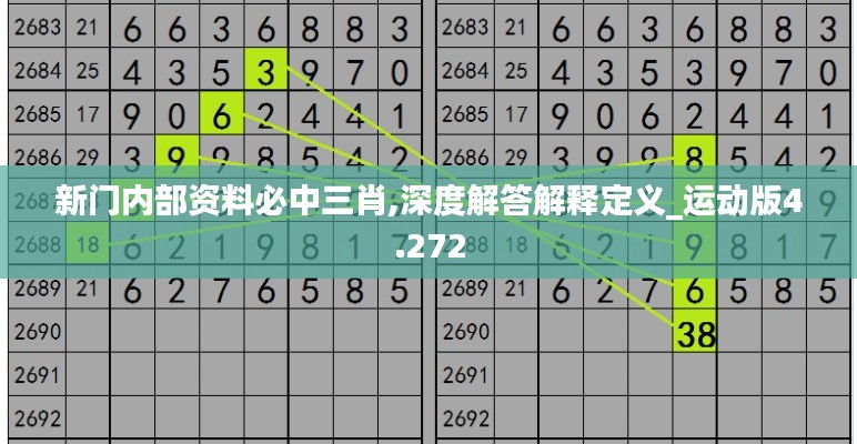 新门内部资料必中三肖,深度解答解释定义_运动版4.272