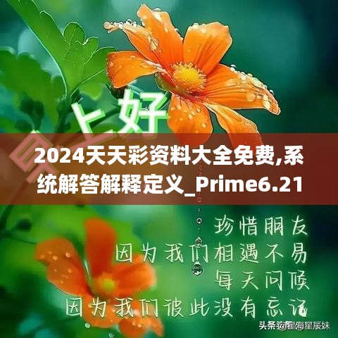 2024天天彩资料大全免费,系统解答解释定义_Prime6.215