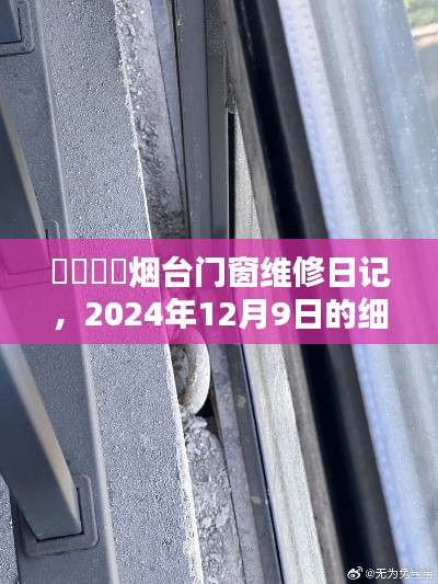 鸟骇鼠窜 第3页