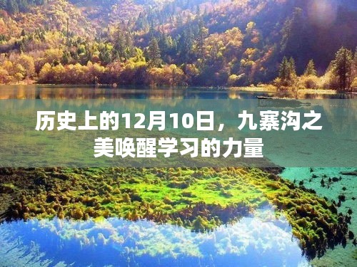 眼空四海 第3页