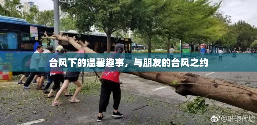 自作主张 第3页
