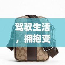 自我成长