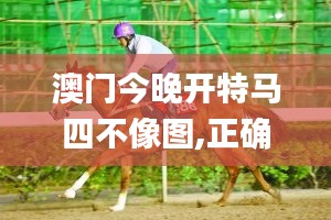 制造工艺 第147页