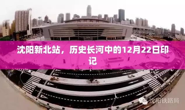 飞扬跋扈 第2页