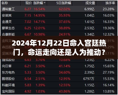 2024年宫廷热门背后的命运与人为推动