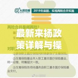 最新来扬政策详解与实操指南，年末迎招策略（适合初学者与进阶用户）