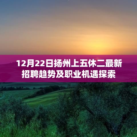 职业机遇探索