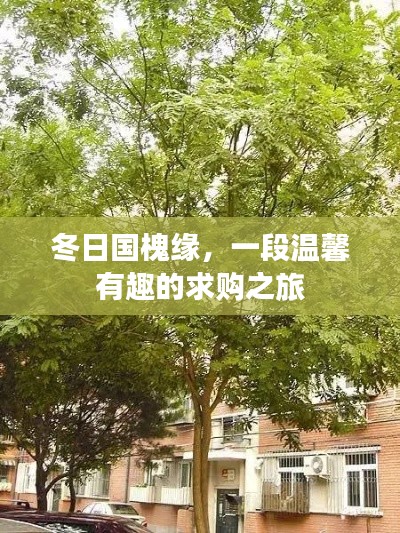 温馨有趣