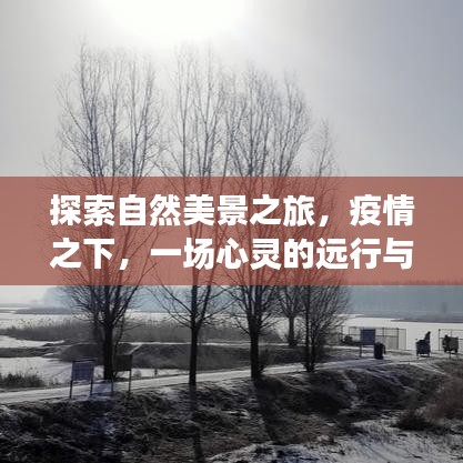 疫情下的自然探索之旅，心灵远行与行业的重生