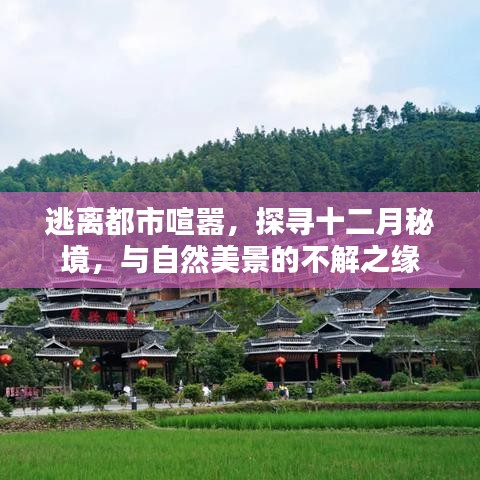 秘境之旅