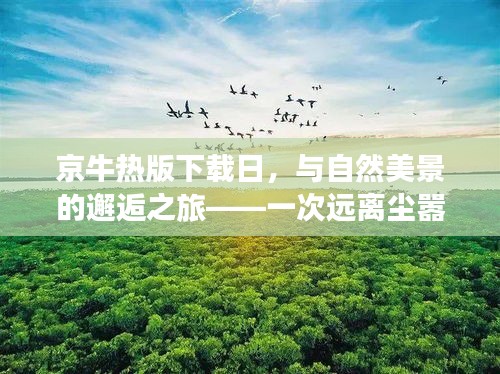 自然美景邂逅