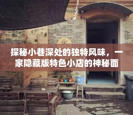 探秘小巷深处的独特风味，揭开隐藏版特色小店的神秘面纱