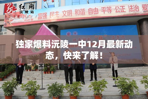 衣不重彩 第2页