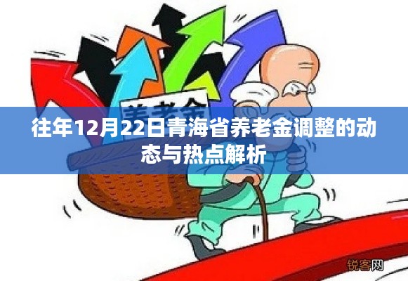 观察报告