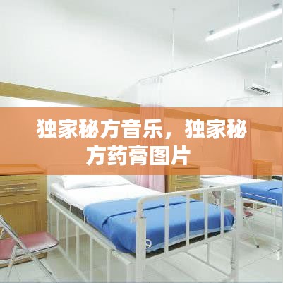 独家秘方音乐，独家秘方药膏图片 