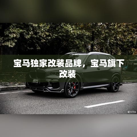 好整以暇 第2页