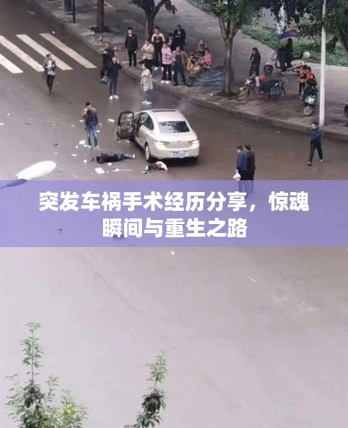 资料大全 第93页