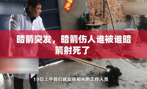 狗尾续貂 第2页