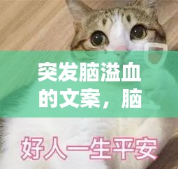 施工案例 第90页