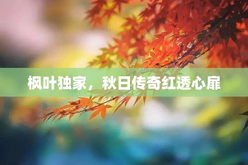 售后保障 第85页