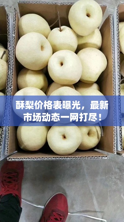 飞龙在天 第2页
