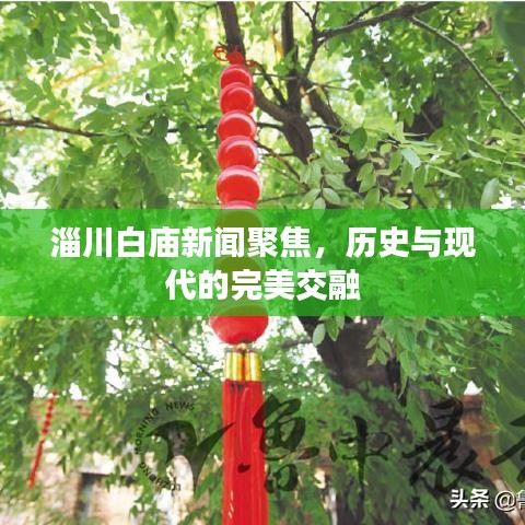 马虎从事 第2页