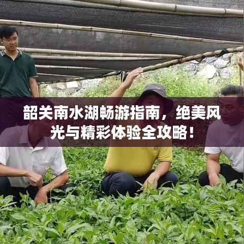 朝飞暮卷 第2页