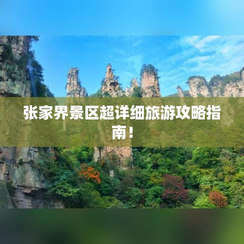 设计团队 第58页