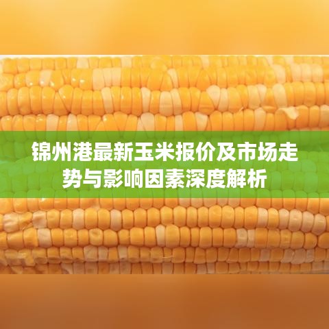 熊经鸟申 第2页