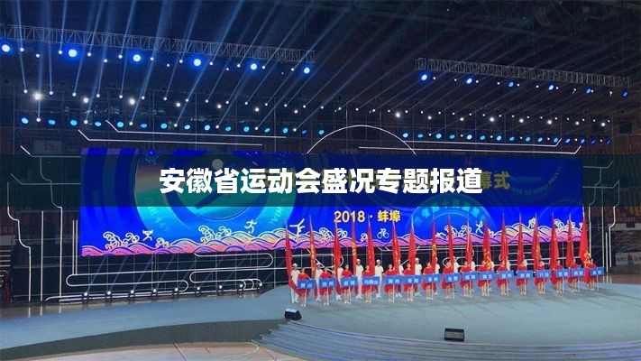 安徽省运动会盛况专题报道