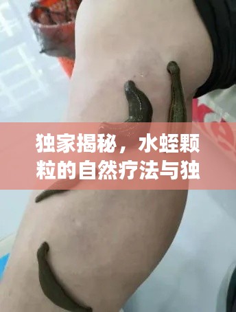 利官近贵 第2页