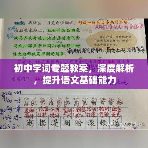 初中字词专题教案，深度解析，提升语文基础能力