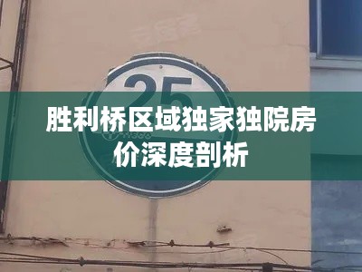 胜利桥区域独家独院房价深度剖析