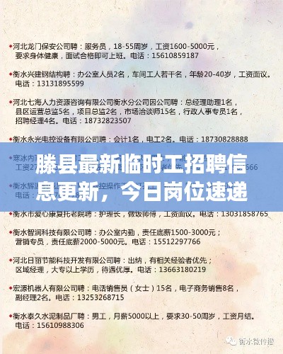 滕县最新临时工招聘信息更新，今日岗位速递