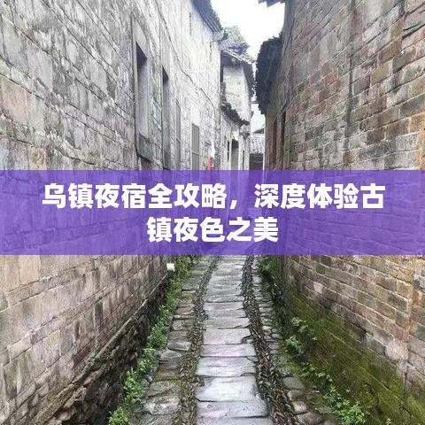 第187页