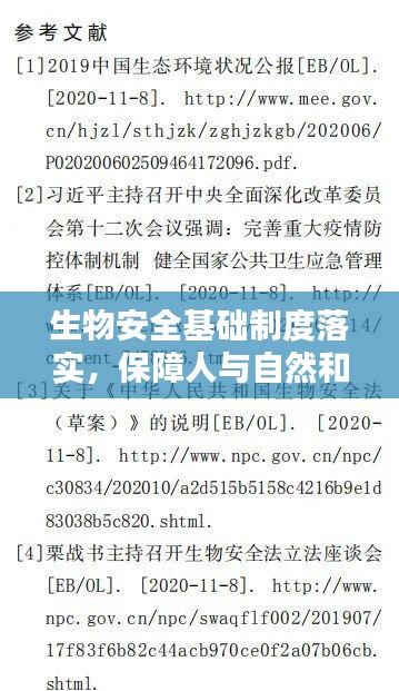 迷离马虎