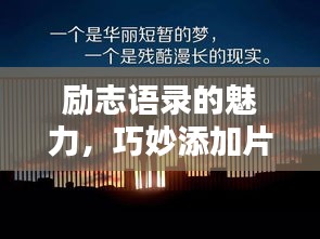 售后保障 第23页