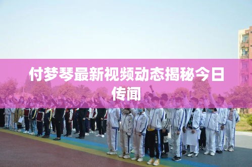 关于我们 第17页