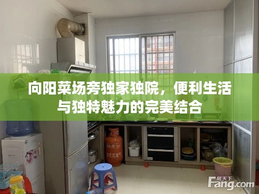 向阳菜场旁独家独院，便利生活与独特魅力的完美结合