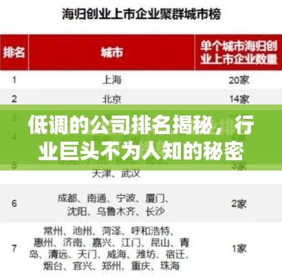 低调的公司排名揭秘，行业巨头不为人知的秘密