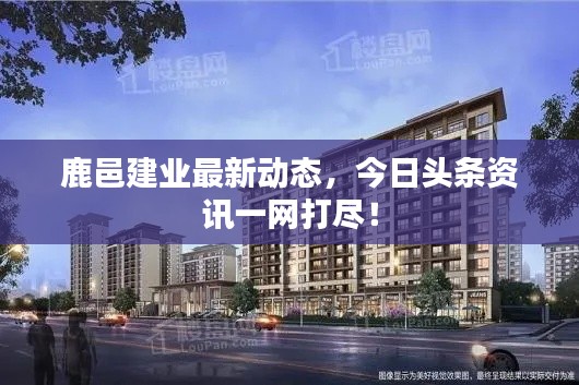 鹿邑建业最新动态，今日头条资讯一网打尽！