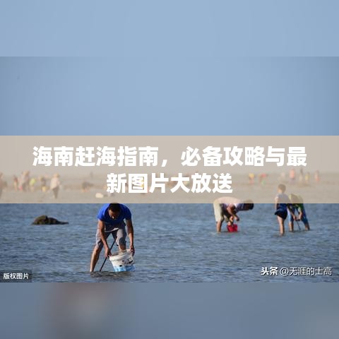 海南赶海指南，必备攻略与最新图片大放送