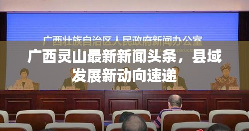 广西灵山最新新闻头条，县域发展新动向速递